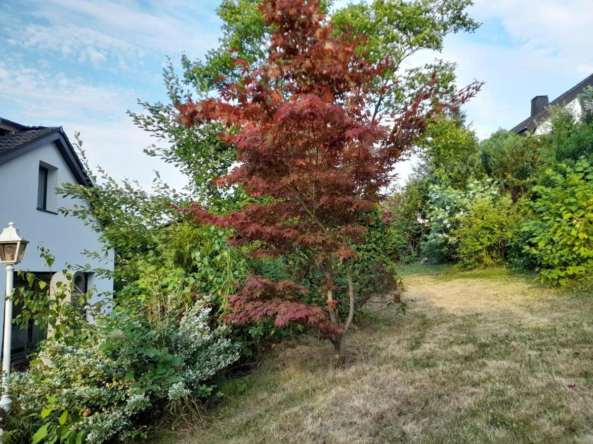 Haus Edda - Ferienwohnungen Mit Garten Und Schlossblick Marburg Eksteriør bilde